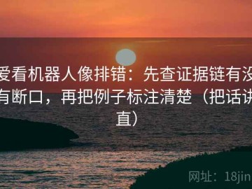爱看机器人像排错：先查证据链有没有断口，再把例子标注清楚（把话讲直）