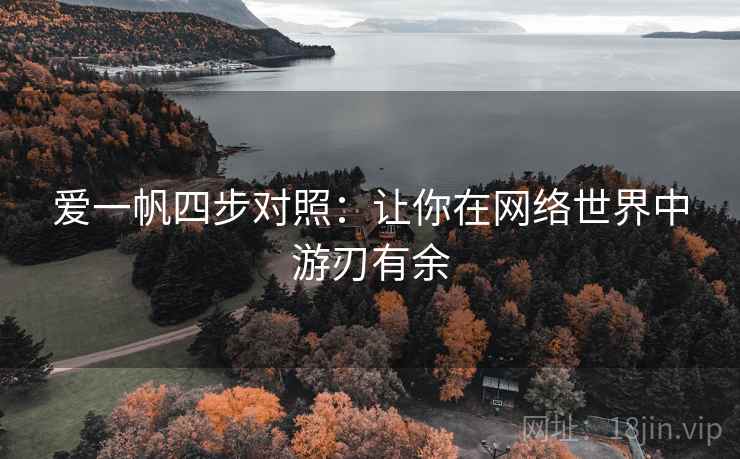 爱一帆四步对照：让你在网络世界中游刃有余