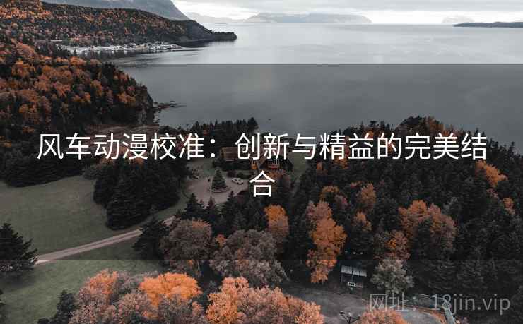 风车动漫校准:创新与精益的完美结合 风车动漫校准:创新与精益的完美结合